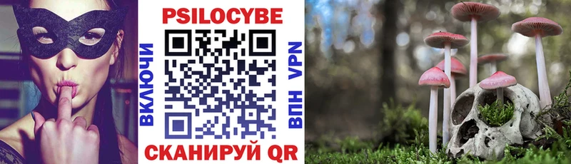 Галлюциногенные грибы прущие грибы  Купить где  Мичуринск 